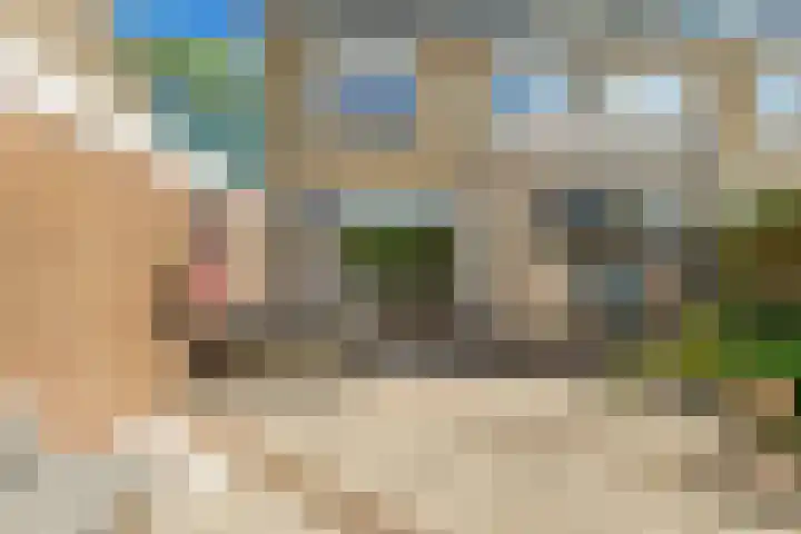 Henegouwenlaan 8 Heemskerk thumbnail 26