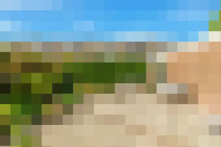Henegouwenlaan 8 Heemskerk thumbnail 27
