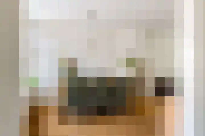 Henegouwenlaan 8 Heemskerk thumbnail 7