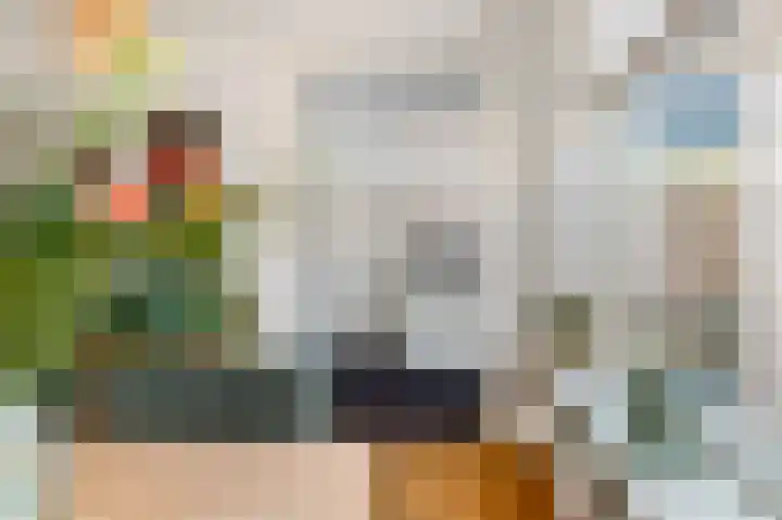 Henegouwenlaan 8 Heemskerk thumbnail 8