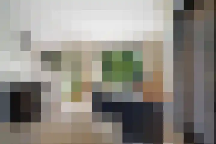 Henegouwenlaan 9 Etten-Leur thumbnail 12