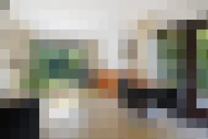 Henegouwenlaan 9 Etten-Leur thumbnail 13