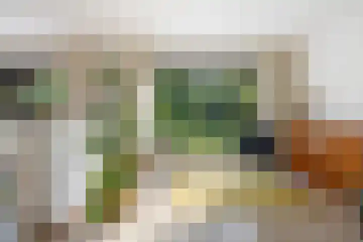 Henegouwenlaan 9 Etten-Leur thumbnail 14