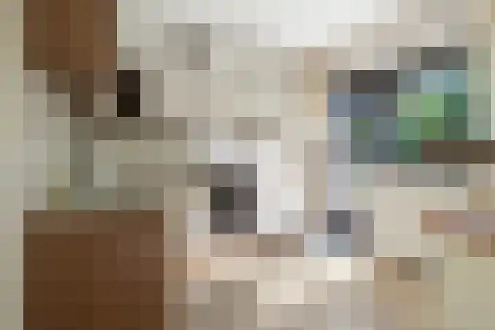 Henegouwenlaan 9 Etten-Leur thumbnail 18