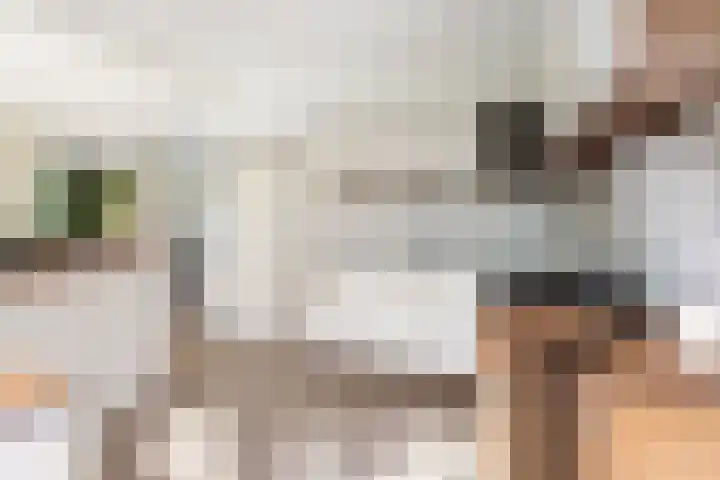Henegouwenlaan 9 Etten-Leur thumbnail 19