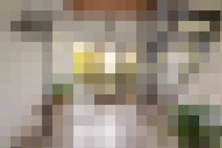 Henegouwenlaan 9 Etten-Leur thumbnail 21