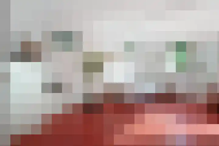 Henegouwenlaan 9 Etten-Leur thumbnail 23
