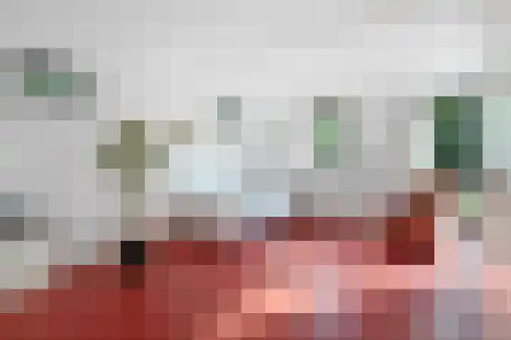 Henegouwenlaan 9 Etten-Leur thumbnail 24
