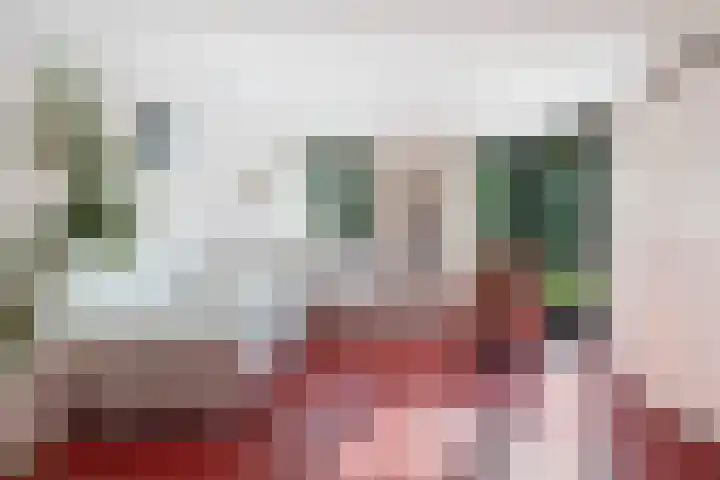 Henegouwenlaan 9 Etten-Leur thumbnail 25
