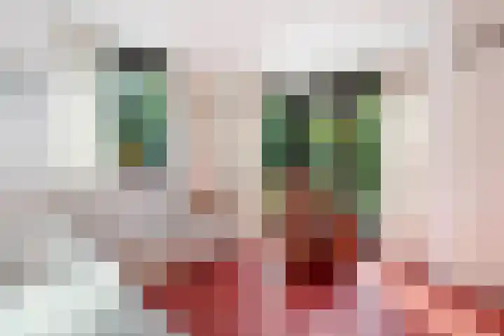 Henegouwenlaan 9 Etten-Leur thumbnail 26