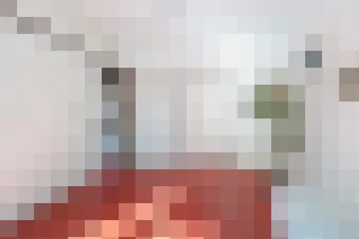 Henegouwenlaan 9 Etten-Leur thumbnail 27