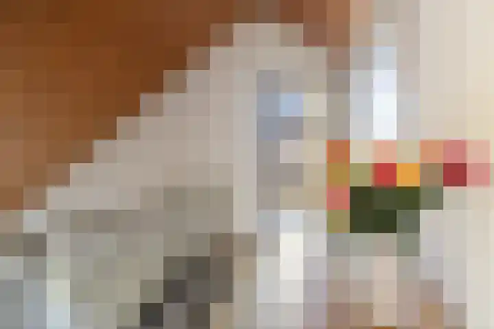 Henegouwenlaan 9 Etten-Leur thumbnail 31
