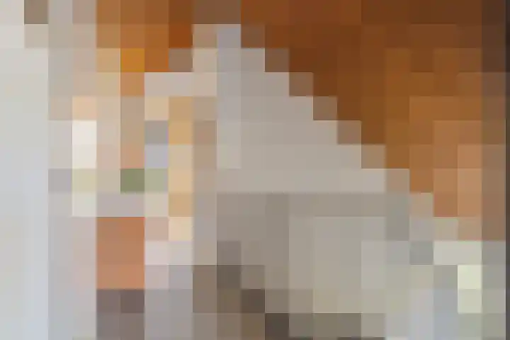 Henegouwenlaan 9 Etten-Leur thumbnail 32