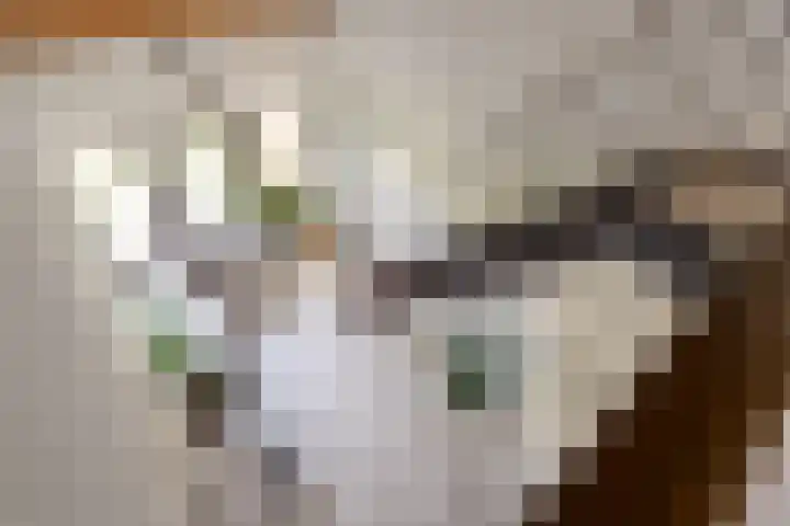 Henegouwenlaan 9 Etten-Leur thumbnail 33