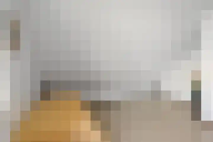 Henegouwenlaan 9 Etten-Leur thumbnail 35