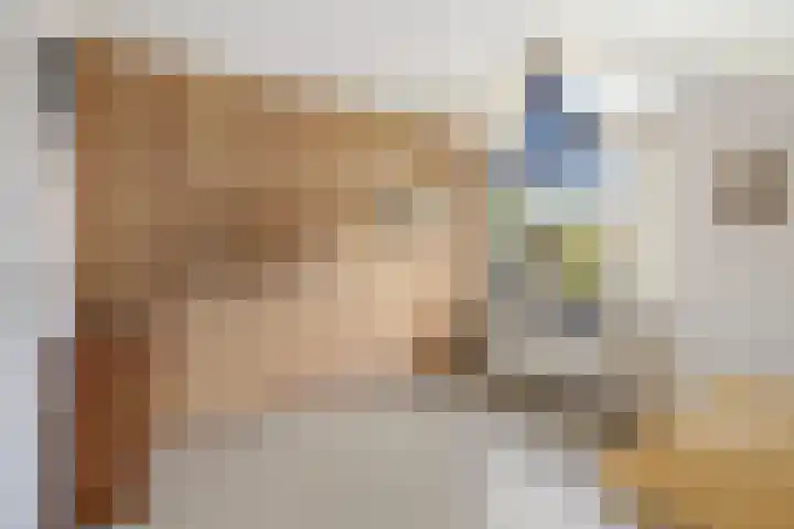 Henegouwenlaan 9 Etten-Leur thumbnail 37