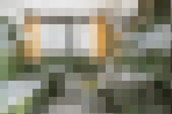Henegouwenlaan 9 Etten-Leur thumbnail 39