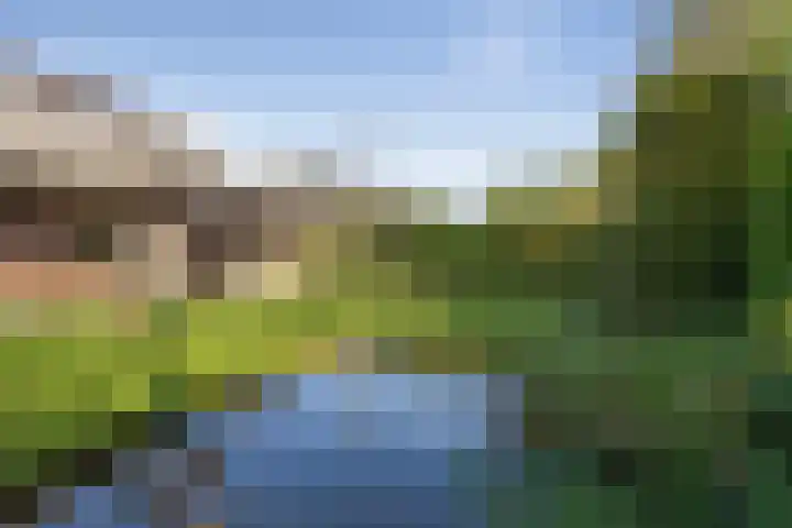 Henegouwenlaan 9 Etten-Leur thumbnail 4