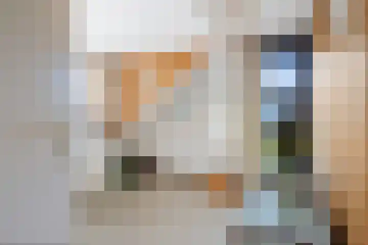 Henegouwenlaan 9 Etten-Leur thumbnail 40