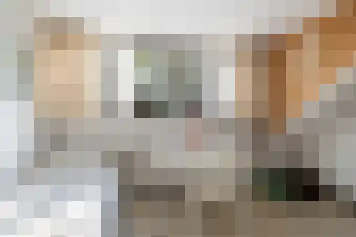 Henegouwenlaan 9 Etten-Leur thumbnail 41