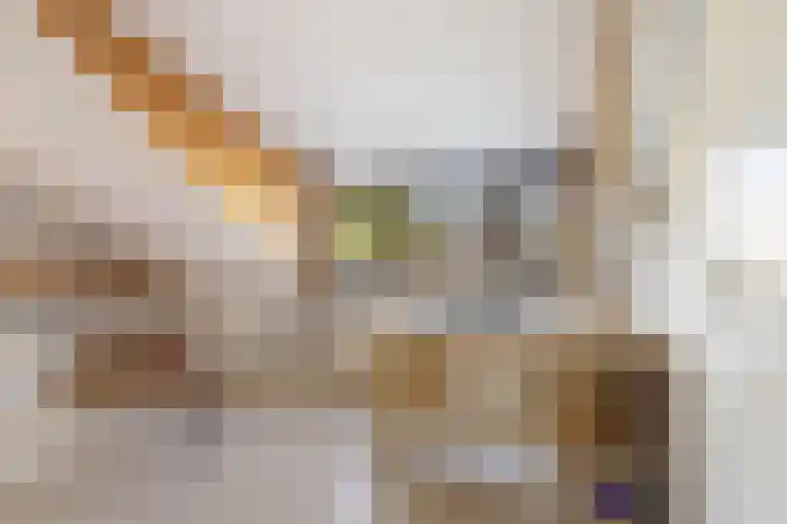 Henegouwenlaan 9 Etten-Leur thumbnail 43