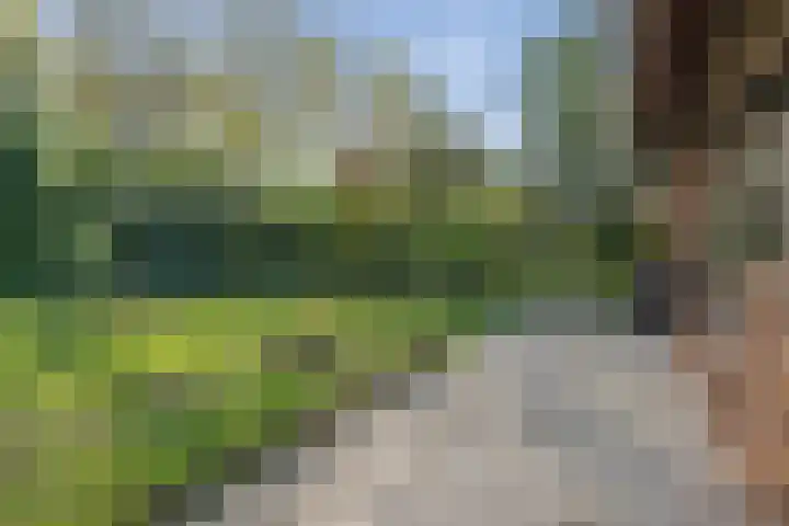 Henegouwenlaan 9 Etten-Leur thumbnail 47