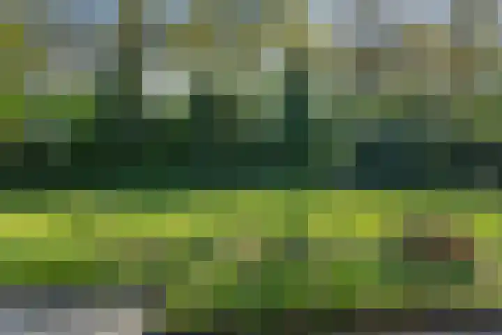 Henegouwenlaan 9 Etten-Leur thumbnail 48