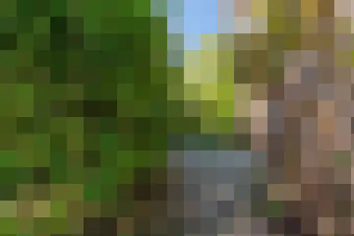 Henegouwenlaan 9 Etten-Leur thumbnail 49