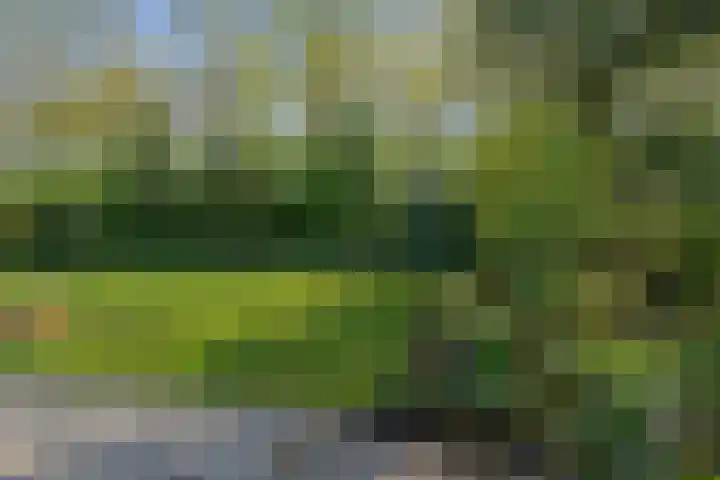 Henegouwenlaan 9 Etten-Leur thumbnail 50