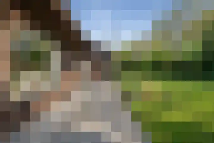 Henegouwenlaan 9 Etten-Leur thumbnail 51