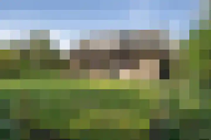 Henegouwenlaan 9 Etten-Leur thumbnail 54