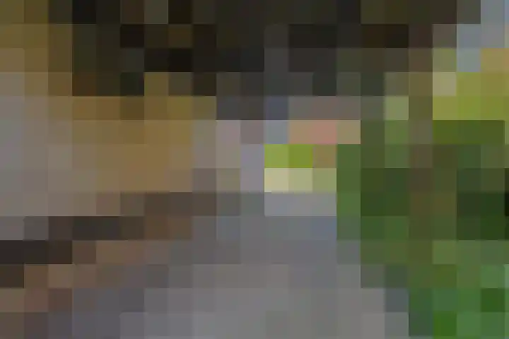 Henegouwenlaan 9 Etten-Leur thumbnail 55
