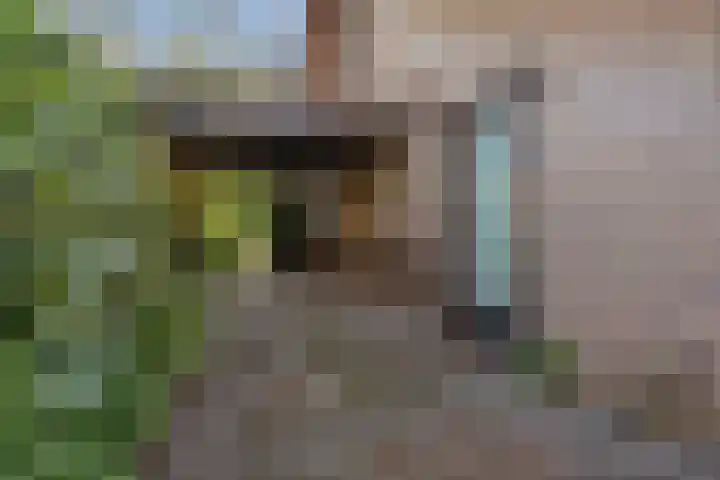 Henegouwenlaan 9 Etten-Leur thumbnail 56
