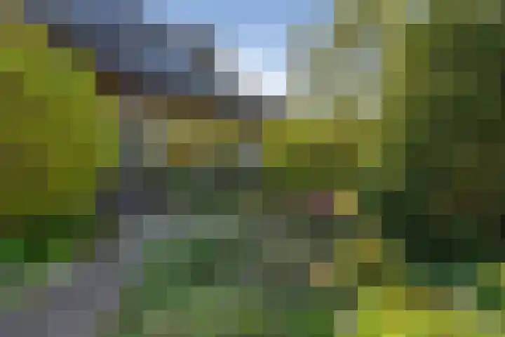 Henegouwenlaan 9 Etten-Leur thumbnail 57