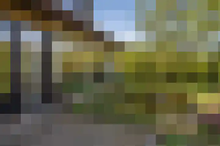 Henegouwenlaan 9 Etten-Leur thumbnail 58