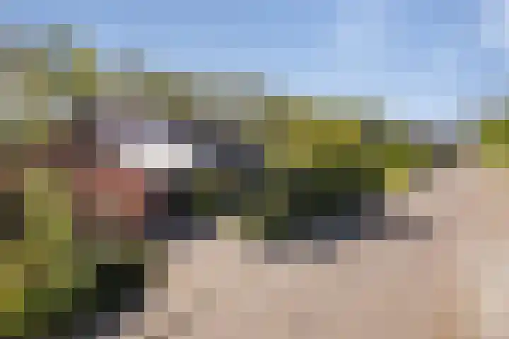 Henegouwenlaan 9 Etten-Leur thumbnail 6