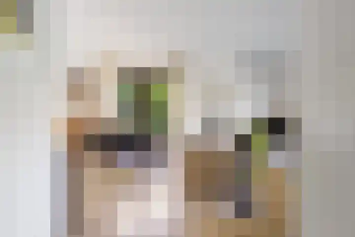 Henegouwenlaan 9 Etten-Leur thumbnail 7
