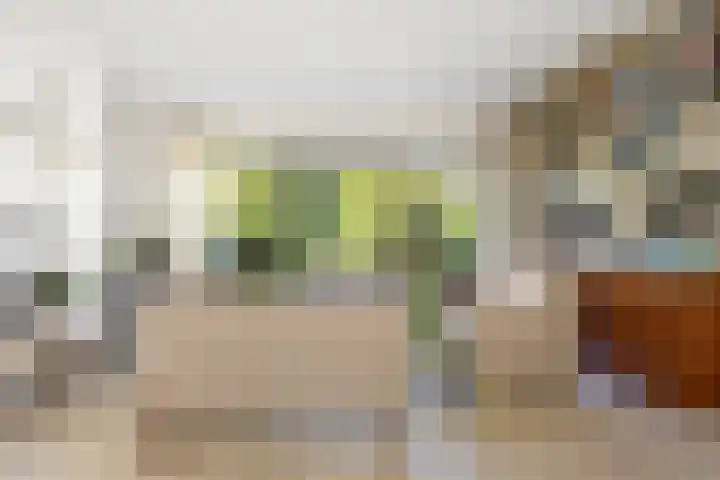 Henegouwenlaan 9 Etten-Leur thumbnail 8