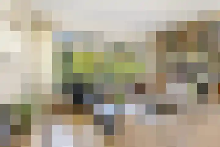 Henegouwenlaan 9 Etten-Leur thumbnail 9