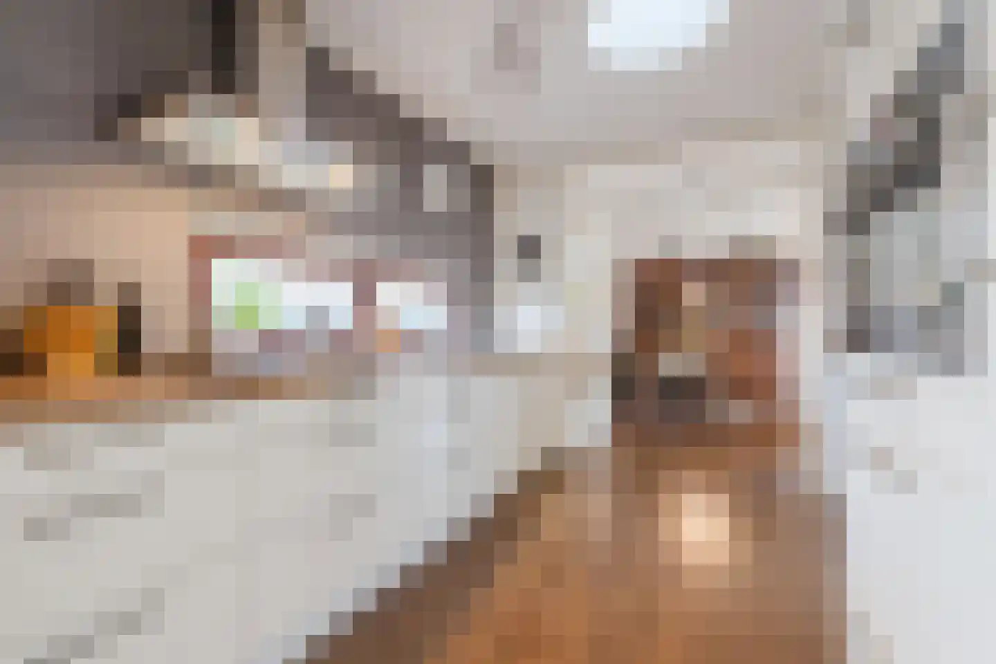 Henegouwenstraat 62 Amsterdam thumbnail 15