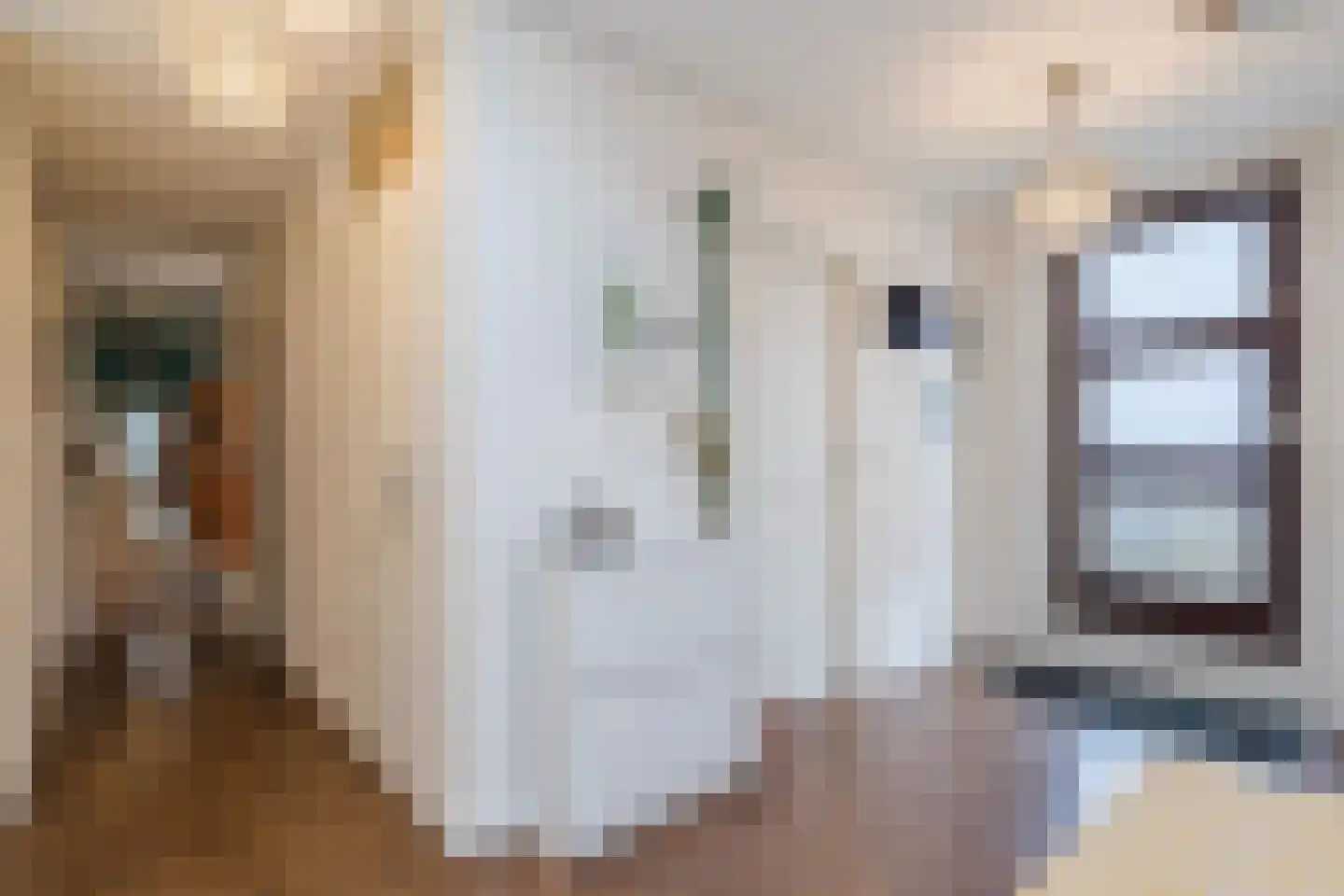 Henegouwenstraat 62 Amsterdam thumbnail 19