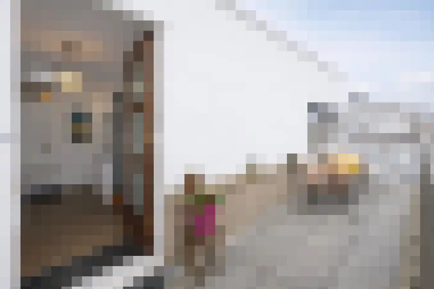 Henegouwenstraat 62 Amsterdam thumbnail 30