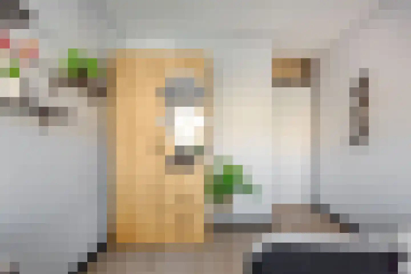 Henegouwenstraat 88 Amsterdam thumbnail 34