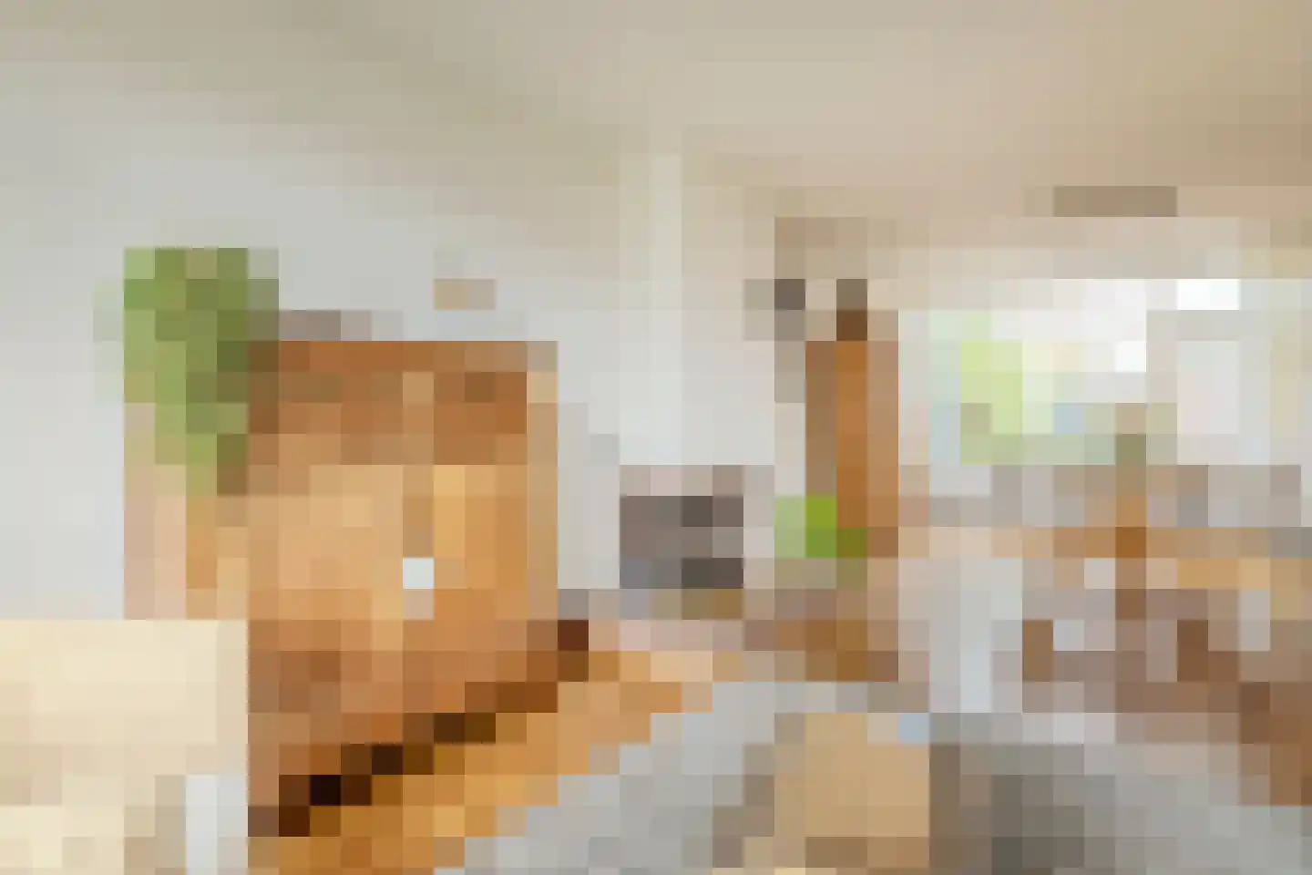 Henegouwerhof 10 Bodegraven thumbnail 14