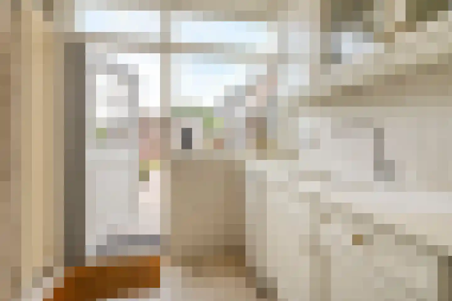 Henegouwerhof 10 Bodegraven thumbnail 19