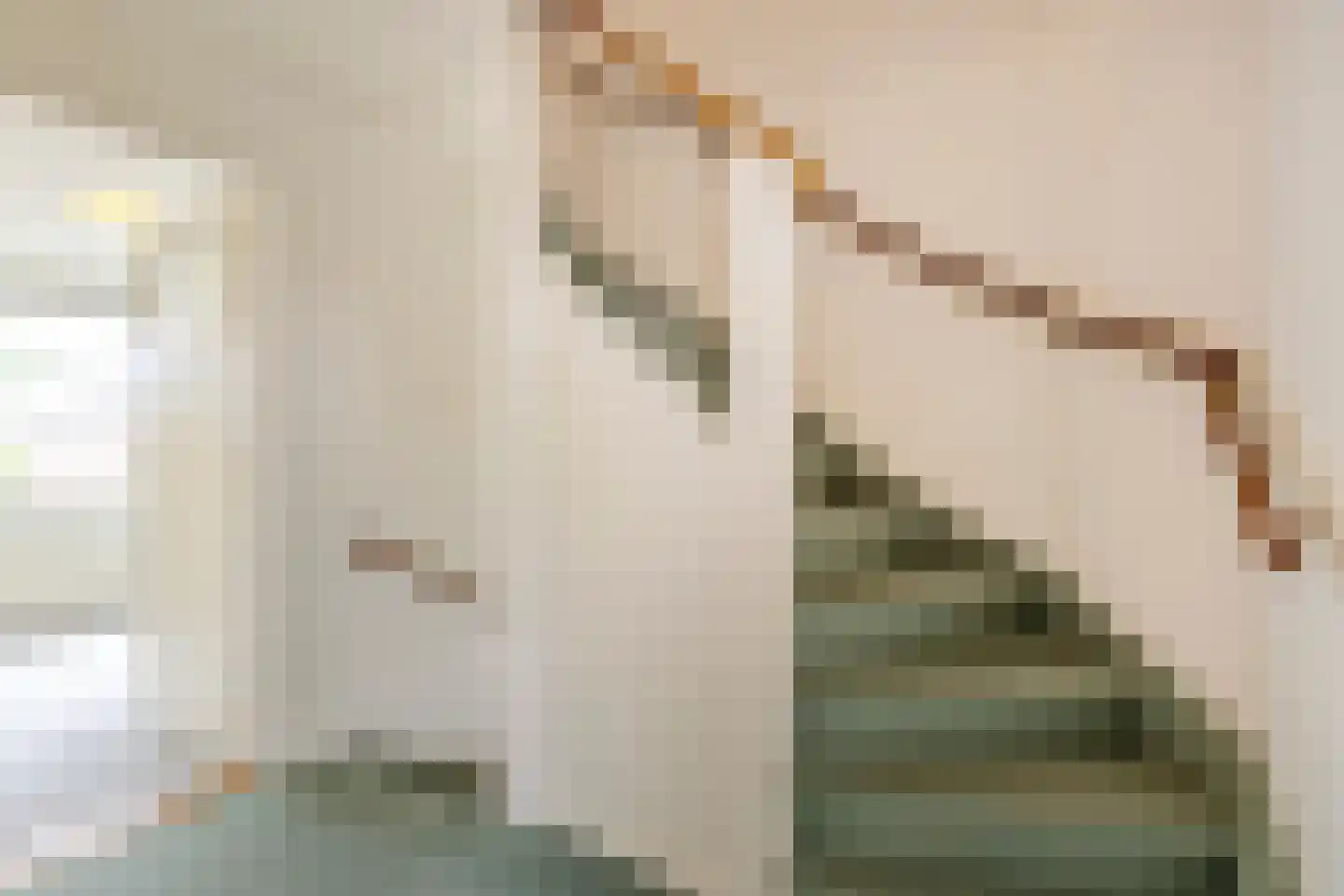 Henegouwerhof 10 Bodegraven thumbnail 20