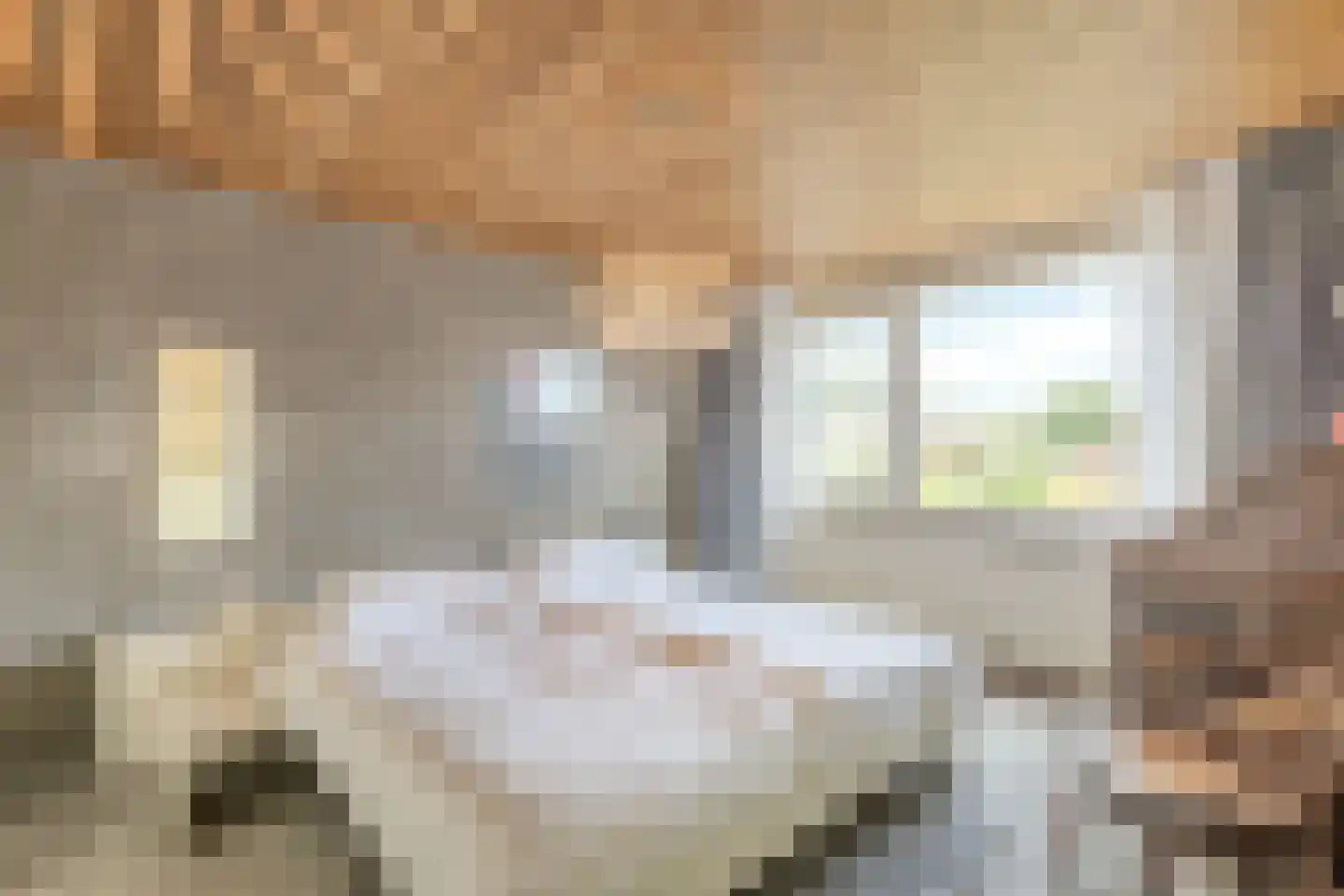 Henegouwerhof 10 Bodegraven thumbnail 21