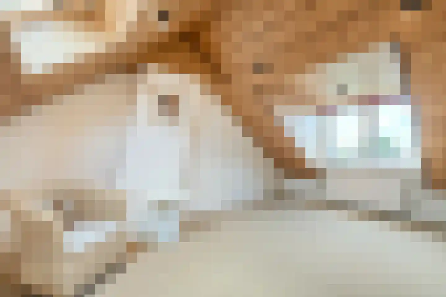 Henegouwerhof 10 Bodegraven thumbnail 34