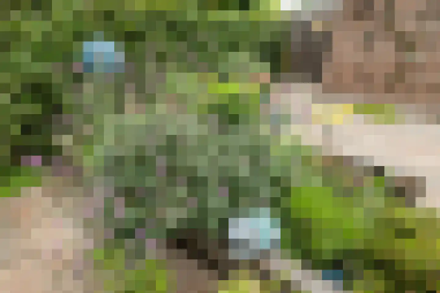 Henegouwerhof 10 Bodegraven thumbnail 41