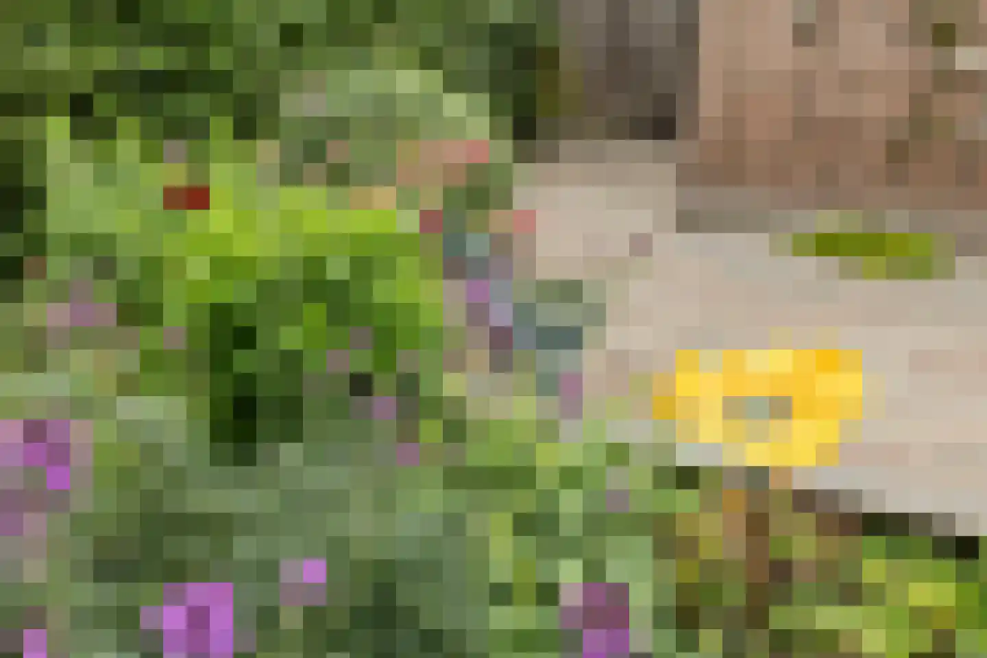 Henegouwerhof 10 Bodegraven thumbnail 42